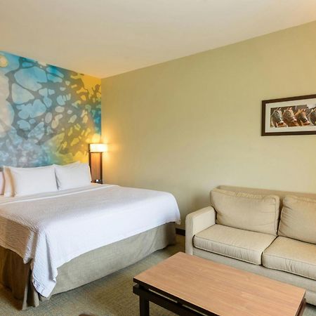 Courtyard By Marriott San Salvador Otel Dış mekan fotoğraf