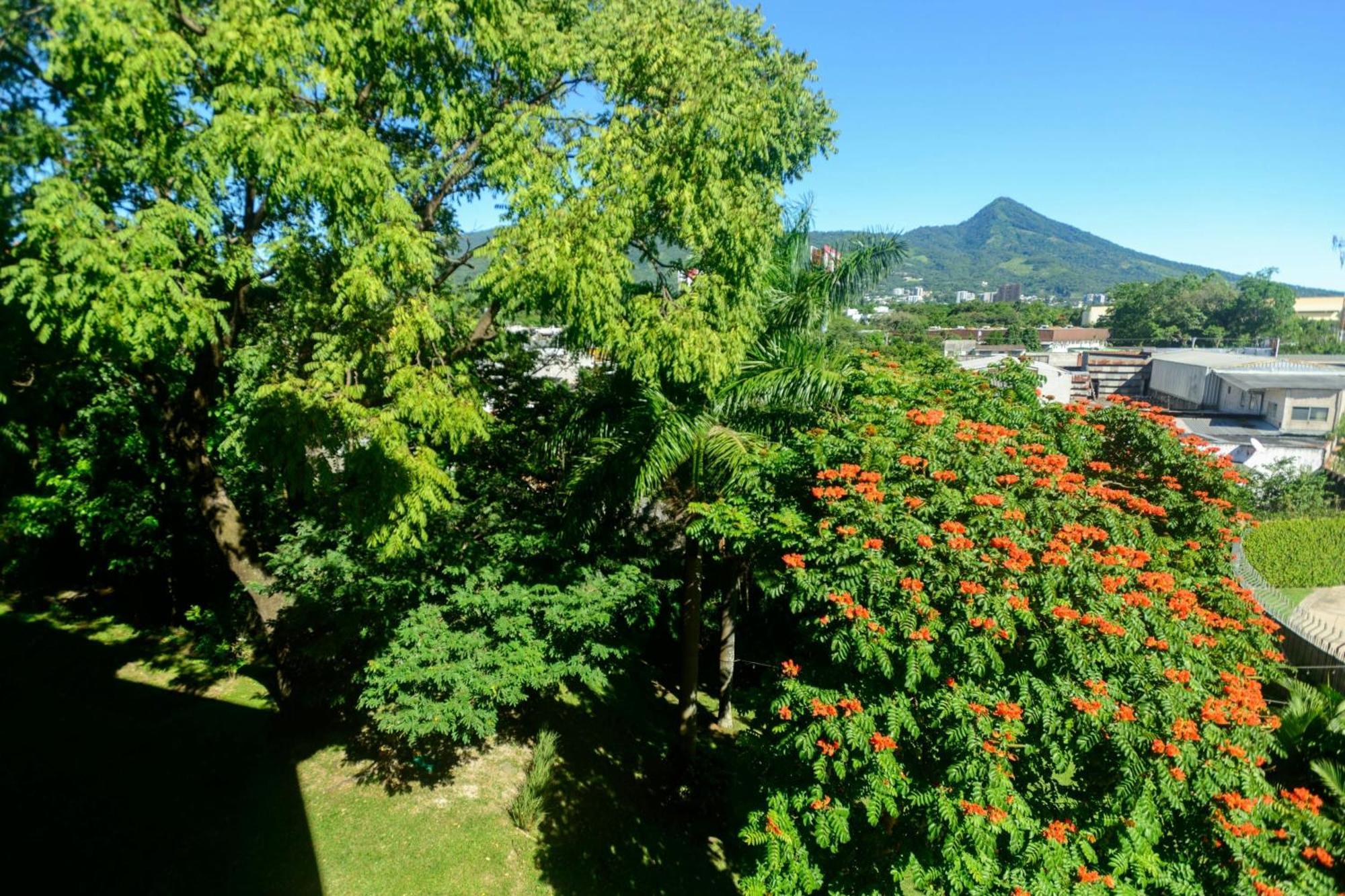 Courtyard By Marriott San Salvador Otel Dış mekan fotoğraf